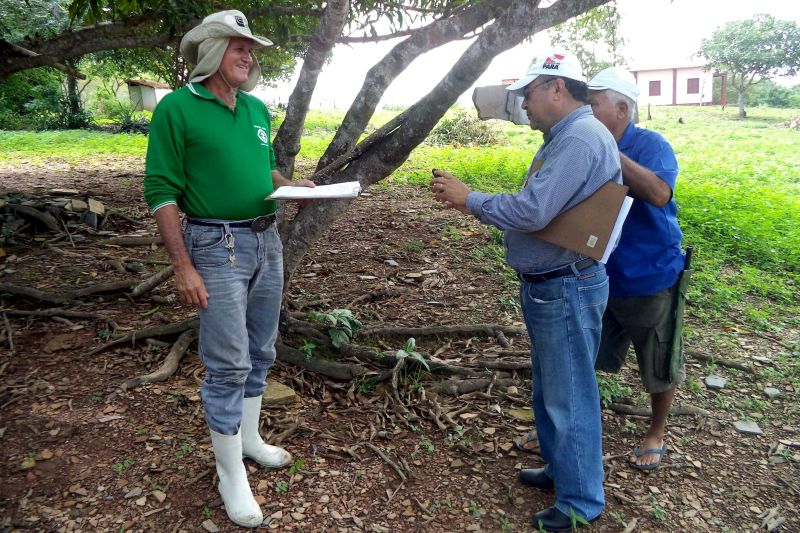 notícia: Mutirão beneficia agricultores do Parque Estadual de Monte Alegre