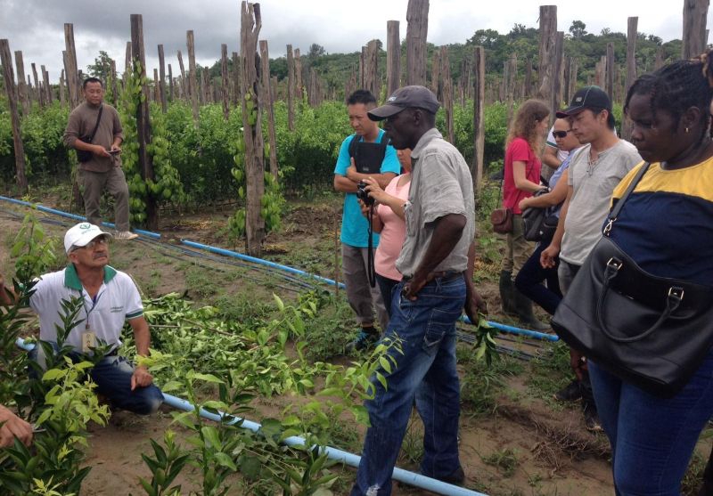 notícia: Agricultores da Guiana Francesa recebem orientação da Emater