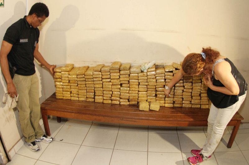 notícia: Polícia Civil recolhe 234 quilos de drogas, a maior apreensão do ano