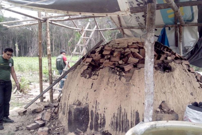 notícia: Força tarefa flagra exploração de madeira e produção ilegal de carvão em Mosqueiro