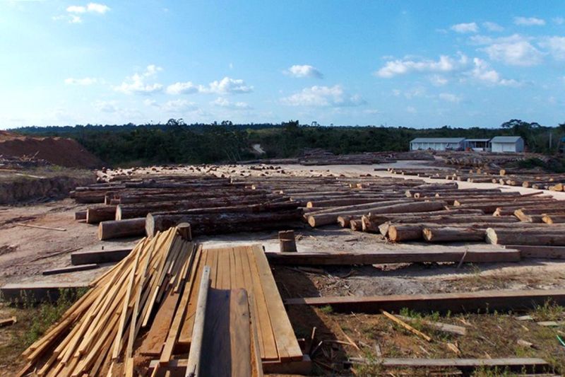notícia: Semas apreende 2,9 mil m³ de madeira em Paragominas e Tomé-Açu