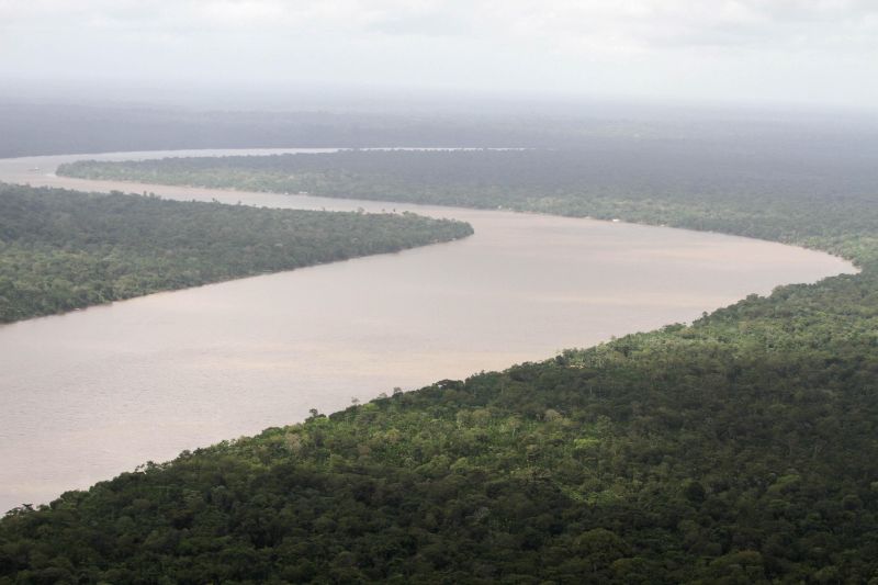 notícia: Ações de proteção à floresta são destaque no Dia da Amazônia