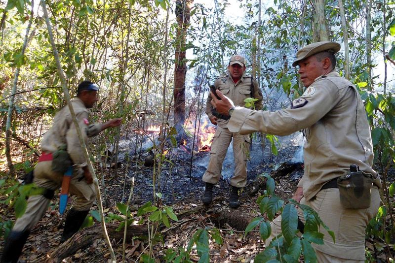 notícia: Bombeiros combatem incêndio florestal no Parque Serra das Andorinhas