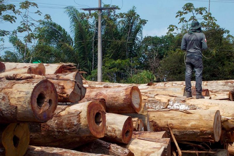 notícia: Fiscalização integrada apreende madeira ilegal em Portel e Moju