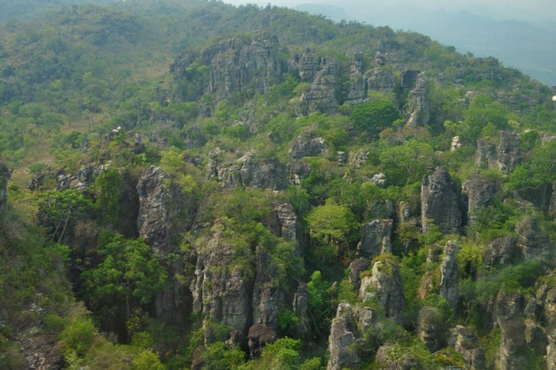 notícia: Floresta do Parque Estadual Serra das Andorinhas está protegida
