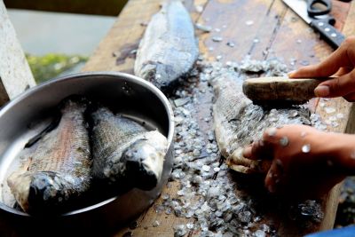 notícia: Pesca e agricultura são principais atividades de Porto de Moz