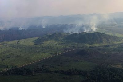 notícia: Governo do Pará começa a identificar responsáveis por queimadas
