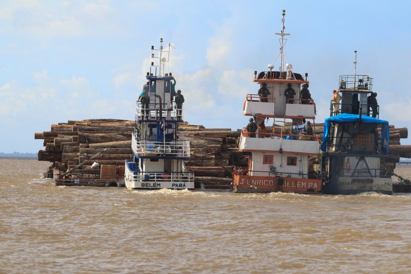 Cerca de mil toras de madeira sem comprovação de origem foram entregues pela Marinha do Brasil à Secretaria de Estado de Meio Ambiente e Sustentabilidade (Semas), na ilha de Outeiro, neste sábado (27). <div class='credito_fotos'>Foto: Jader Paes / Agência Pará   |   <a href='/midias/2020/originais/6501_dd5e5d85-9201-f9b6-6df7-e777f81b7ea8.jpg' download><i class='fa-solid fa-download'></i> Download</a></div>