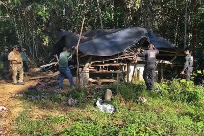 galeria: Força-tarefa destrói acampamentos para derrubada ilegal da floresta em Novo Progresso