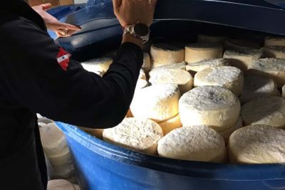 notícia: Polícia Civil desarticula 'queijarias' clandestinas na zona rural de Marabá