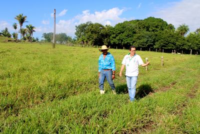 notícia: Emater de Xinguara implanta Unidade de Observação para pasto rotacionado