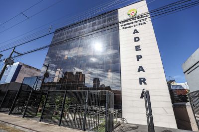 notícia: Adepará promove V Fórum Estadual de Vigilância para Febre Aftosa
