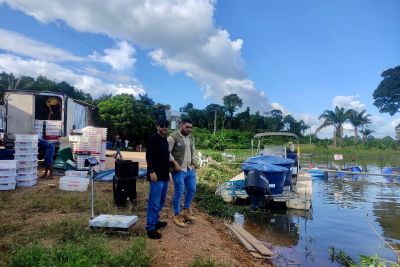 notícia: Ideflor-Bio faz visita estratégica e fortalece parcerias na Região do Lago de Tucuruí