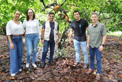 notícia: Semas promove troca de conhecimentos sobre produção de cacau na Bahia