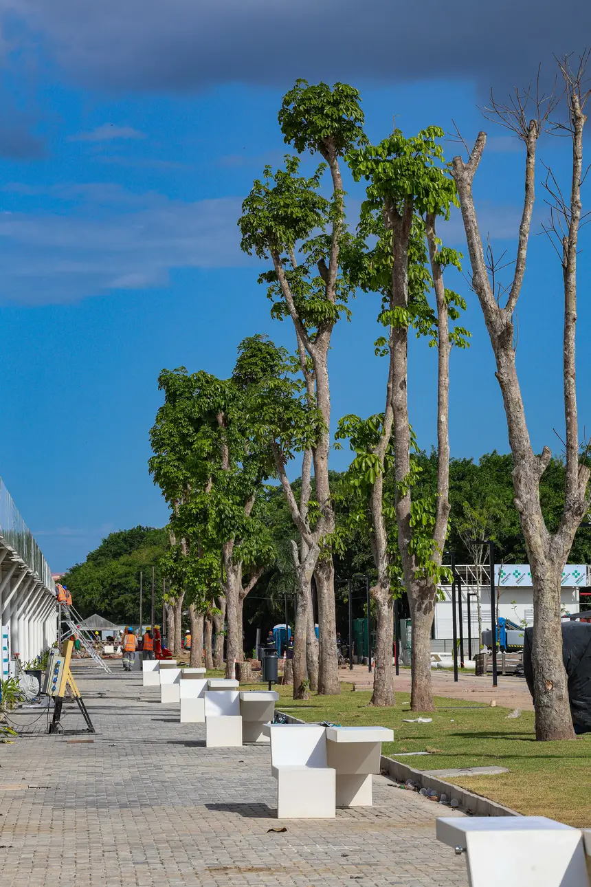  <div class='credito_fotos'>Foto: Alex Ribeiro / Ag. Pará   |   <a href='/midias/2025/originais/20250903172002-GF00024722-F00438970.jpg' download><i class='fa-solid fa-download'></i> Download</a></div>