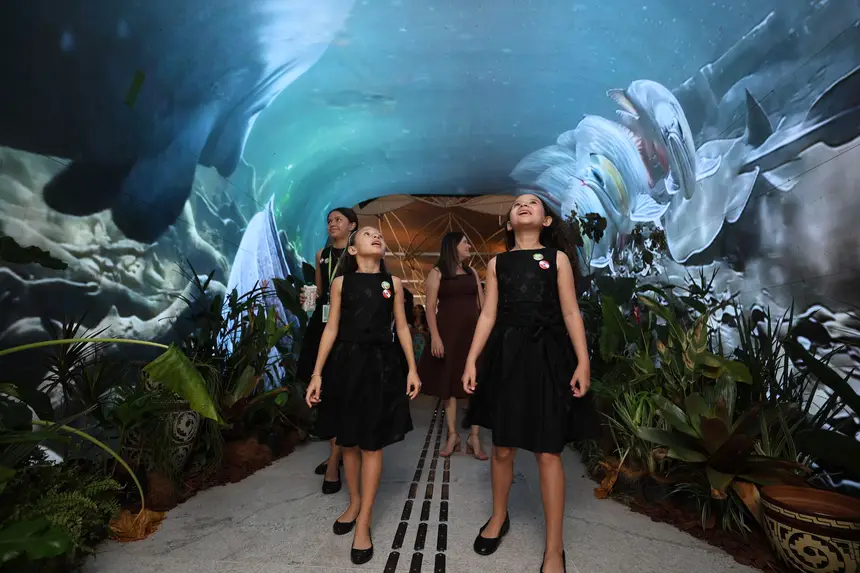  <div class='credito_fotos'>Foto: Bruno Cruz / Ag. Pará   |   <a href='/midias/2025/originais/20251117123139-GF00025559-F00468850.jpg' download><i class='fa-solid fa-download'></i> Download</a></div>