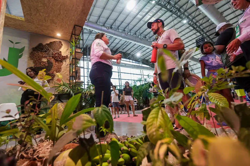  <div class='credito_fotos'>Foto: Pedro Guerreiro / Ag. Pará   |   <a href='/midias/2025/originais/20251120160107-GF00025658-F00471036.jpg' download><i class='fa-solid fa-download'></i> Download</a></div>