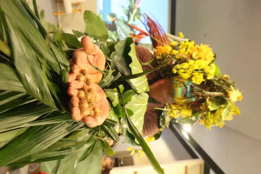  <div class='credito_fotos'>Foto: Bruno Cecim / Ag.Pará   |   <a href='/midias/2025/originais/20251120162103-GF00025659-F00471049.jpg' download><i class='fa-solid fa-download'></i> Download</a></div>