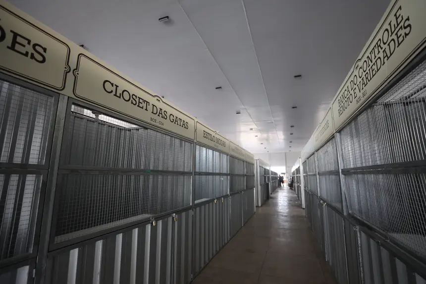  <div class='credito_fotos'>Foto: Rodrigo Pinheiro / Ag.Pará   |   <a href='/midias/2025/originais/20251125135736-GF00025696-F00472027.jpg' download><i class='fa-solid fa-download'></i> Download</a></div>