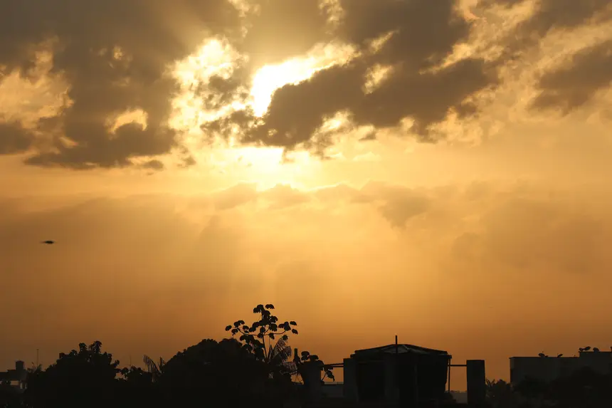  <div class='credito_fotos'>Foto: Bruno Cruz / Ag. Pará   |   <a href='/midias/2025/originais/20251126101922-GF00025704-F00472374.jpg' download><i class='fa-solid fa-download'></i> Download</a></div>