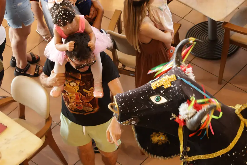  <div class='credito_fotos'>Foto: Pedro Guerreiro / Ag. Pará &nbsp;&nbsp;|&nbsp;&nbsp; <a href='/midias/2026/originais/20260217202655-GF00026302-F00491543.jpg' download><i class='fa-solid fa-download'></i> Download</a></div>