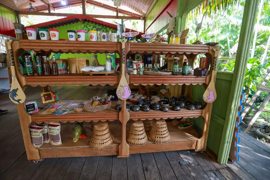  <div class='credito_fotos'>Foto: Marcelo Lelis / Ag. Pará &nbsp;&nbsp;|&nbsp;&nbsp; <a href='/midias/2026/originais/20260219114745-GF00026307-F00491759.jpg' download><i class='fa-solid fa-download'></i> Download</a></div>