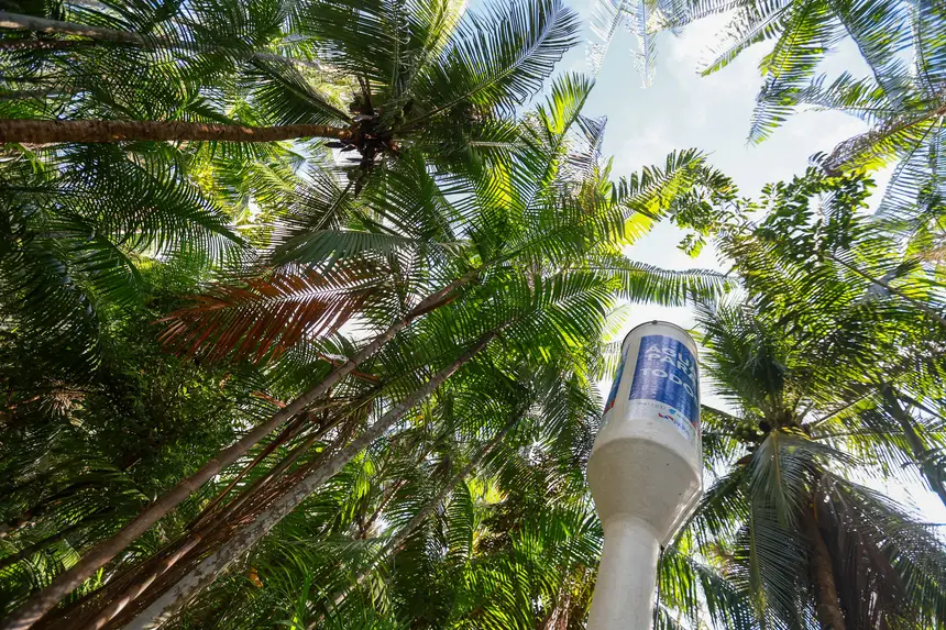  <div class='credito_fotos'>Foto: Marcelo Lelis / Ag. Pará &nbsp;&nbsp;|&nbsp;&nbsp; <a href='/midias/2026/originais/20260219114809-GF00026307-F00491772.jpg' download><i class='fa-solid fa-download'></i> Download</a></div>