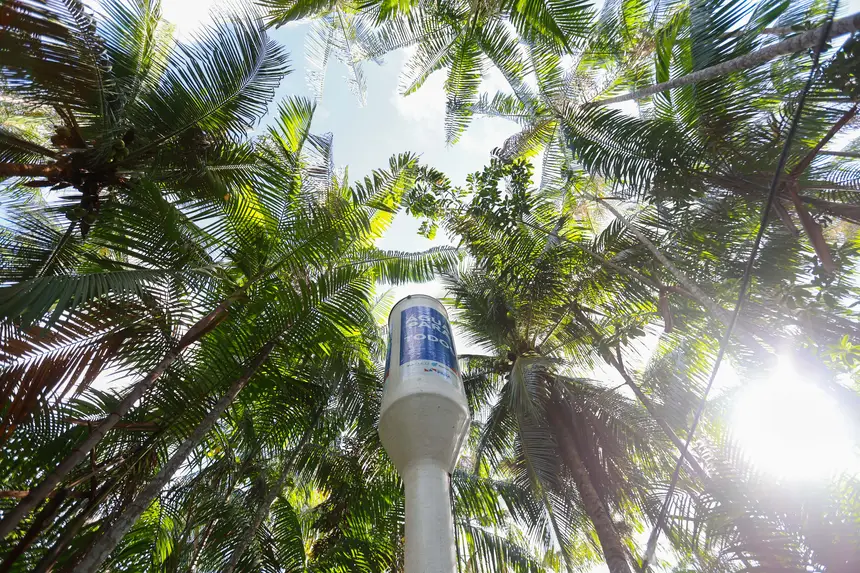  <div class='credito_fotos'>Foto: Marcelo Lelis / Ag. Pará &nbsp;&nbsp;|&nbsp;&nbsp; <a href='/midias/2026/originais/20260219114811-GF00026307-F00491773.jpg' download><i class='fa-solid fa-download'></i> Download</a></div>