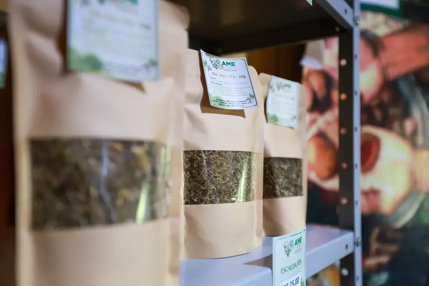  <div class='credito_fotos'>Foto: Marcelo Lelis / Ag. Pará &nbsp;&nbsp;|&nbsp;&nbsp; <a href='/midias/2026/originais/20260219114828-GF00026307-F00491782.jpg' download><i class='fa-solid fa-download'></i> Download</a></div>