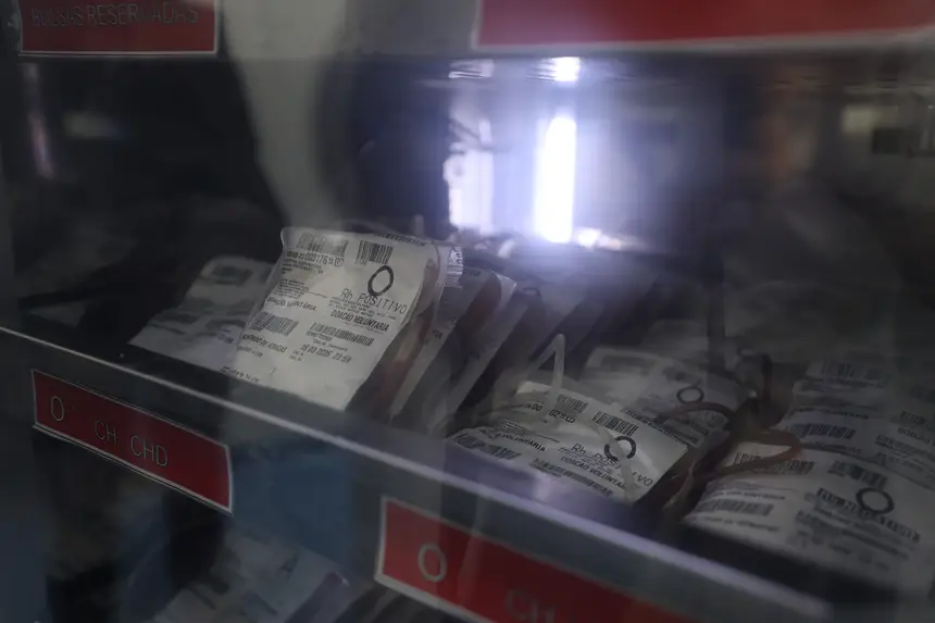  <div class='credito_fotos'>Foto: Rodrigo Pinheiro / Ag. Pará &nbsp;&nbsp;|&nbsp;&nbsp; <a href='/midias/2026/originais/20260220114525-GF00026312-F00491888.jpg' download><i class='fa-solid fa-download'></i> Download</a></div>