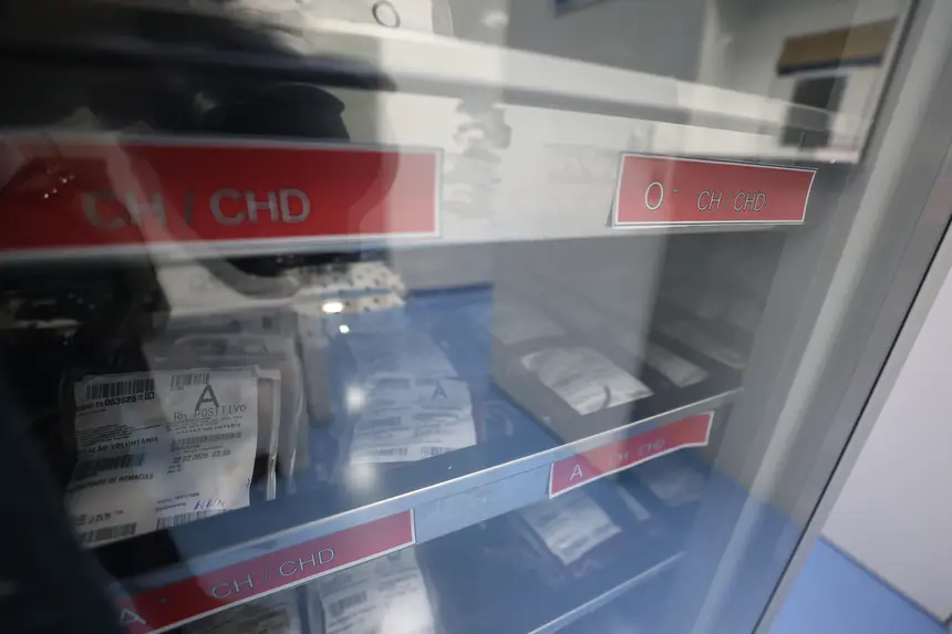  <div class='credito_fotos'>Foto: Rodrigo Pinheiro / Ag. Pará &nbsp;&nbsp;|&nbsp;&nbsp; <a href='/midias/2026/originais/20260220114538-GF00026312-F00491896.jpg' download><i class='fa-solid fa-download'></i> Download</a></div>