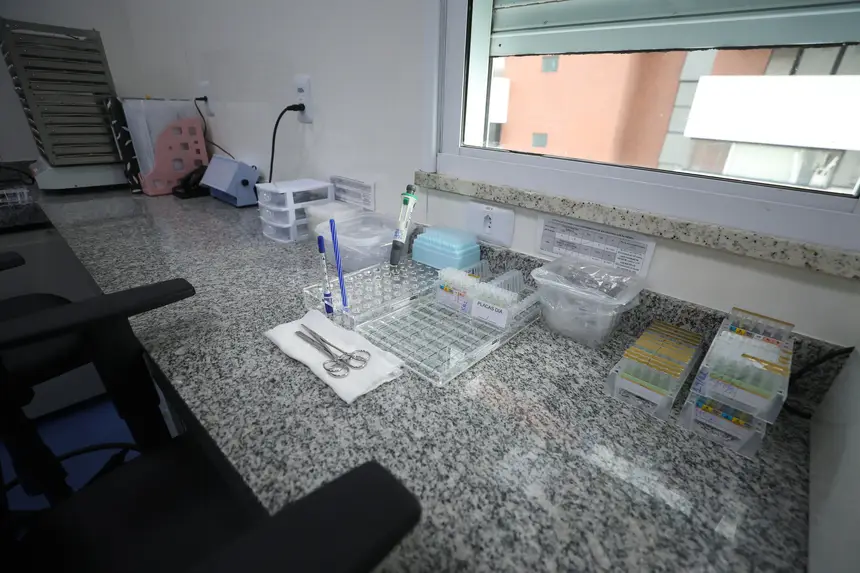  <div class='credito_fotos'>Foto: Rodrigo Pinheiro / Ag. Pará &nbsp;&nbsp;|&nbsp;&nbsp; <a href='/midias/2026/originais/20260220114603-GF00026312-F00491910.jpg' download><i class='fa-solid fa-download'></i> Download</a></div>