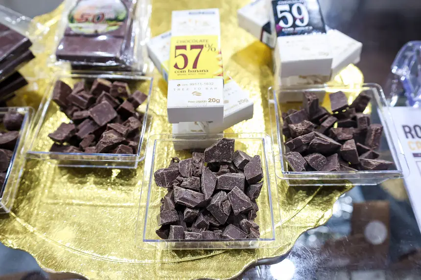  <div class='credito_fotos'>Foto: Bruno Cecim / Ag. Pará &nbsp;&nbsp;|&nbsp;&nbsp; <a href='/midias/2026/originais/20260423213325-GF00026930-F00514814.jpg' download><i class='fa-solid fa-download'></i> Download</a></div>