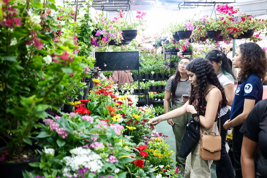  <div class='credito_fotos'>Foto: Bruno Cecim / Ag. Pará &nbsp;&nbsp;|&nbsp;&nbsp; <a href='/midias/2026/originais/20260423213359-GF00026930-F00514833.jpg' download><i class='fa-solid fa-download'></i> Download</a></div>