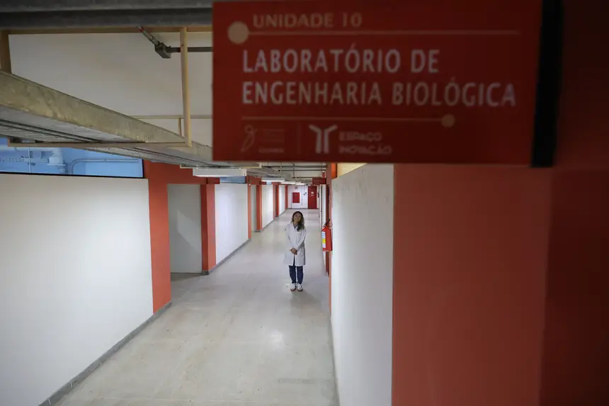  <div class='credito_fotos'>Foto: Bruno Cruz / Ag. Pará &nbsp;&nbsp;|&nbsp;&nbsp; <a href='/midias/2026/originais/20260429132517-GF00026972-F00516375.jpg' download><i class='fa-solid fa-download'></i> Download</a></div>