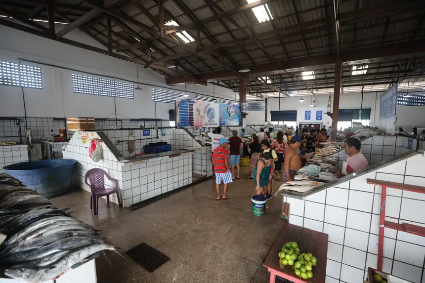  <div class='credito_fotos'>Foto: Rodrigo Pinheiro / Ag. Pará &nbsp;&nbsp;|&nbsp;&nbsp; <a href='/midias/2026/originais/20260501105850-GF00026989-F00517207.jpg' download><i class='fa-solid fa-download'></i> Download</a></div>