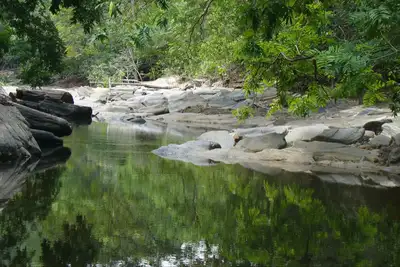 notícia: Novas unidades de conservação municipais impulsionam economia e sustentabilidade