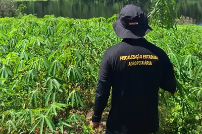 notícia: Adepará intensifica ações de defesa animal e vegetal nas ilhas do Lago de Tucuruí