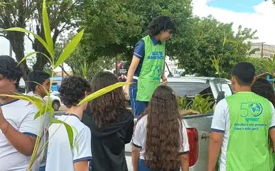 notícia: Emater entrega 50 mudas de açaí para escola estadual em Altamira