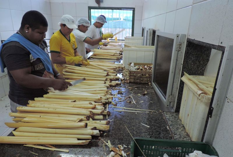 notícia: Curso vai aprimorar ações de inspeção sanitária em indústrias de palmito