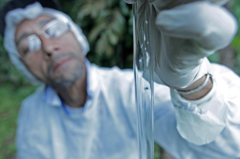 notícia: Sespa reafirma queda dos casos confirmados de dengue em todo o Pará