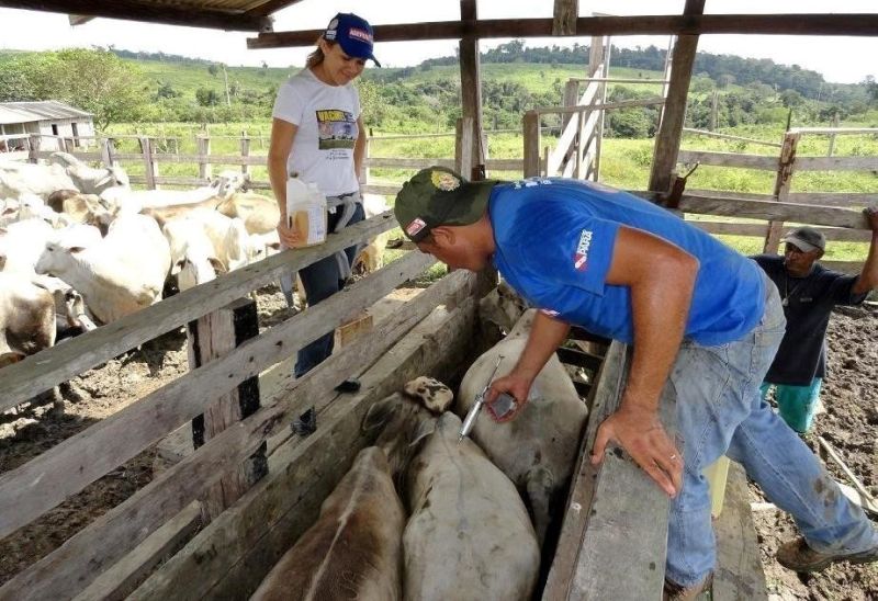 notícia: Adepará promove encontro para apresentar estratégias de gestão