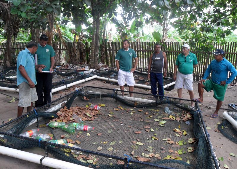 notícia: Ribeirinhos de Santarém recebem alevinos para iniciar criação de peixe em tanque