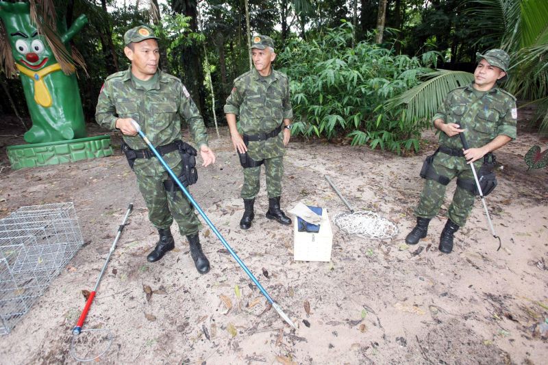 notícia: Trabalho do Batalhão de Polícia Ambiental garante a preservação da vida animal
