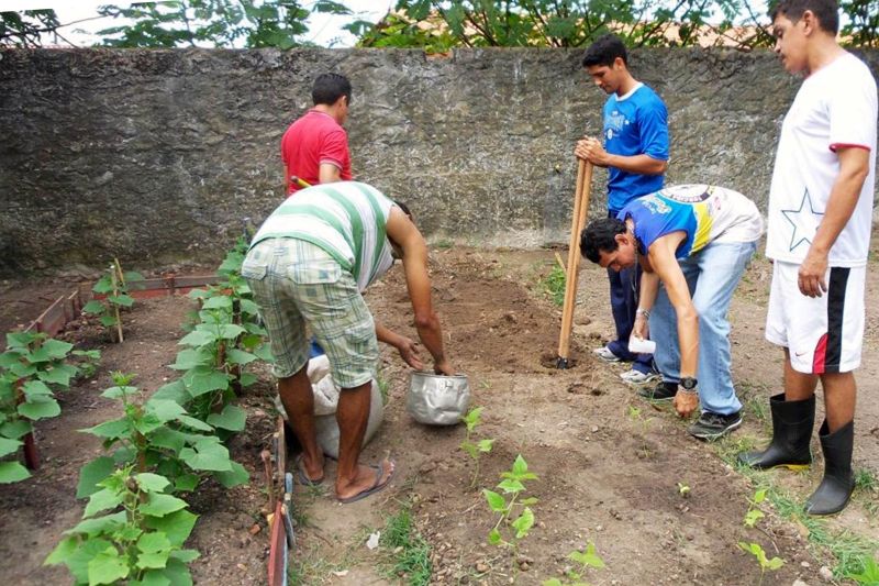 notícia: Projeto ambiental da Seduc ajuda na geração de renda de 12 famílias do Aurá