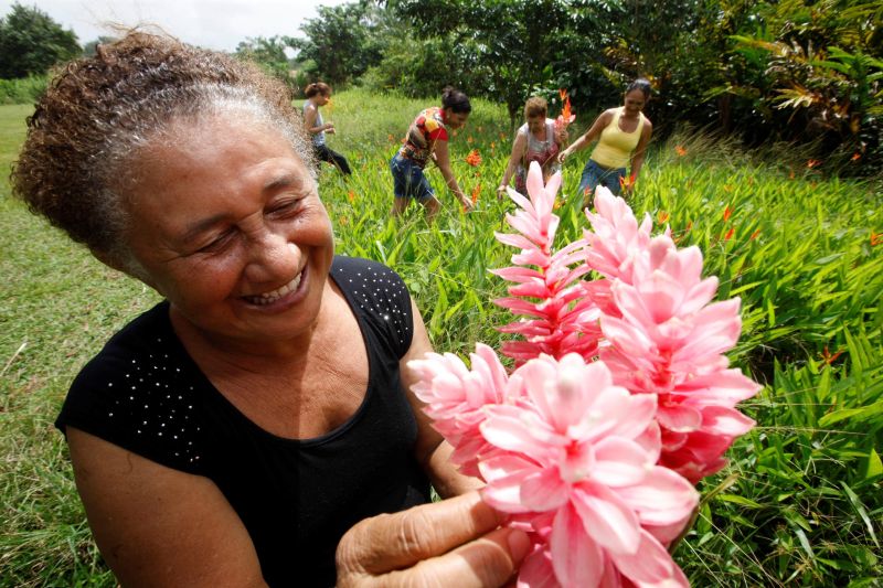notícia: Benevides sedia exposição de flores e plantas ornamentais  