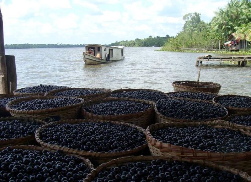 notícia: Emater comemora aumento da produção familiar nos 53 anos do município de Bagre