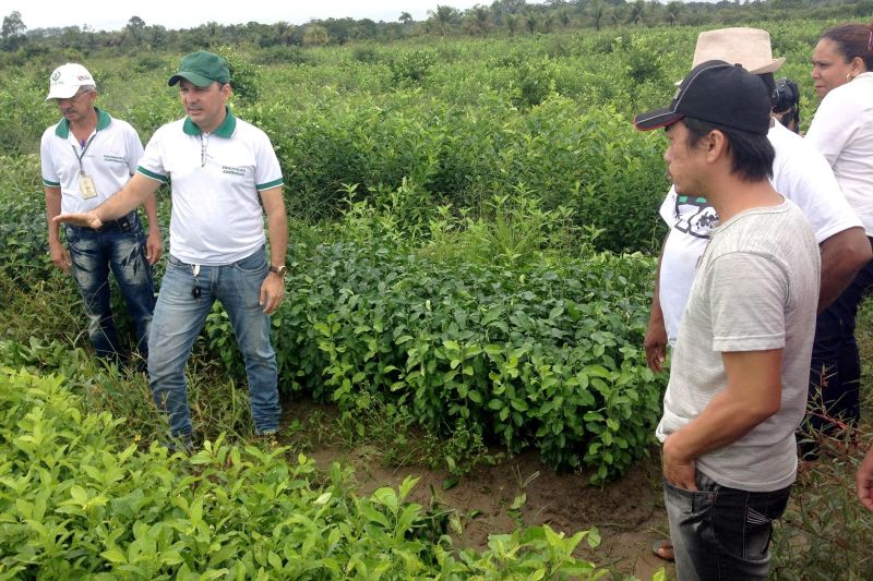notícia: Emater orienta agricultores da Guiana Francesa