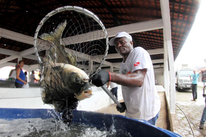 notícia: Sedap promove Feira do Pescado neste sábado, no Centur