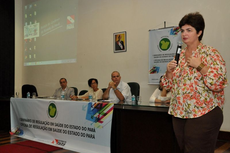 notícia: Oficina discute fluxos de assistência em saúde na Região Metropolitana